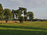 Galeria 001