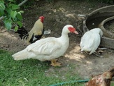 Galeria 015