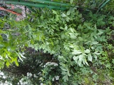 Galeria 016