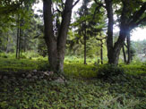 Galeria 004