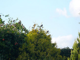 Galeria 006