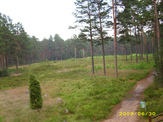 Dojazd - 1