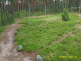Dojazd - 2