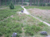 Dojazd - 4